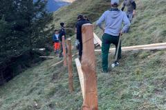 43290c00-94a5-41ba-b205-eb7ae2ff2f5a